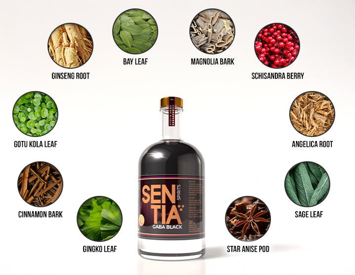 SENTIA GABA Black 50cl
