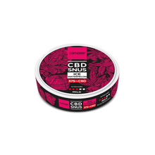 Euphoria SNUS z CBD Smak Lodowy Arbuz 375 mg (15 x 25 mg) - Innowacyjne Woreczki Bez Tytoniu