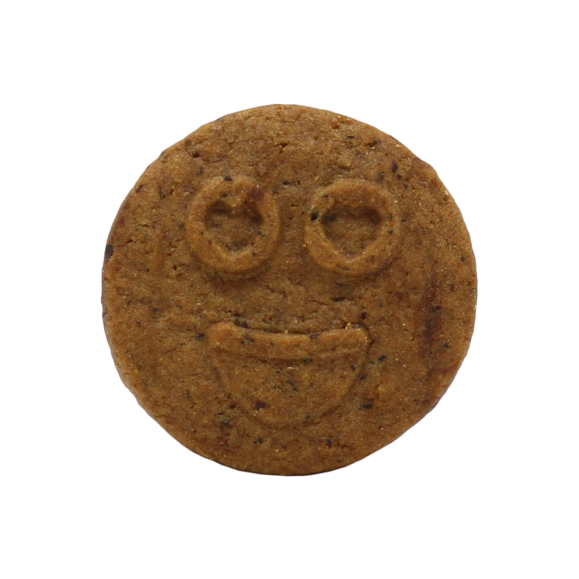 Euphoria Czekoladowe Ciasteczka Zbożowe z CBD - 100g (12 szt.)