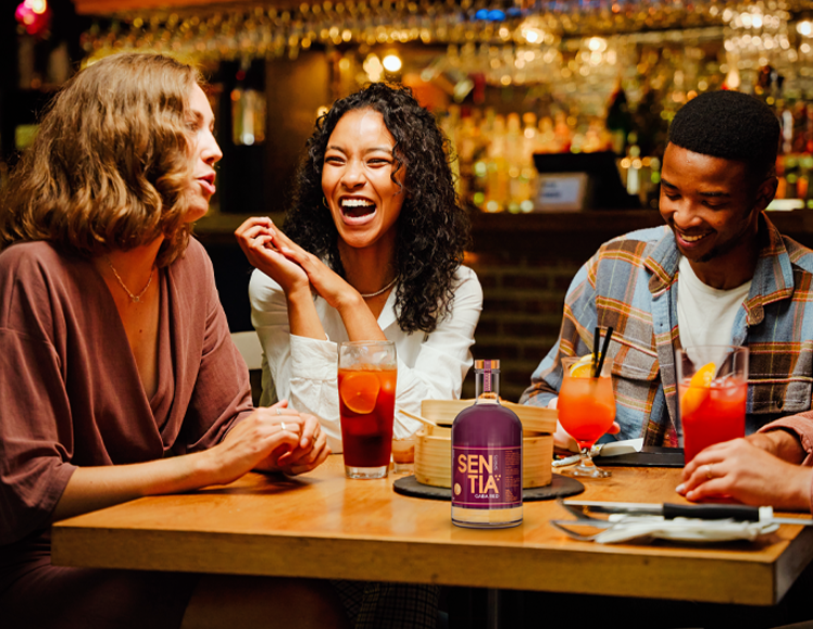 SENTIA GABA Red 50cl