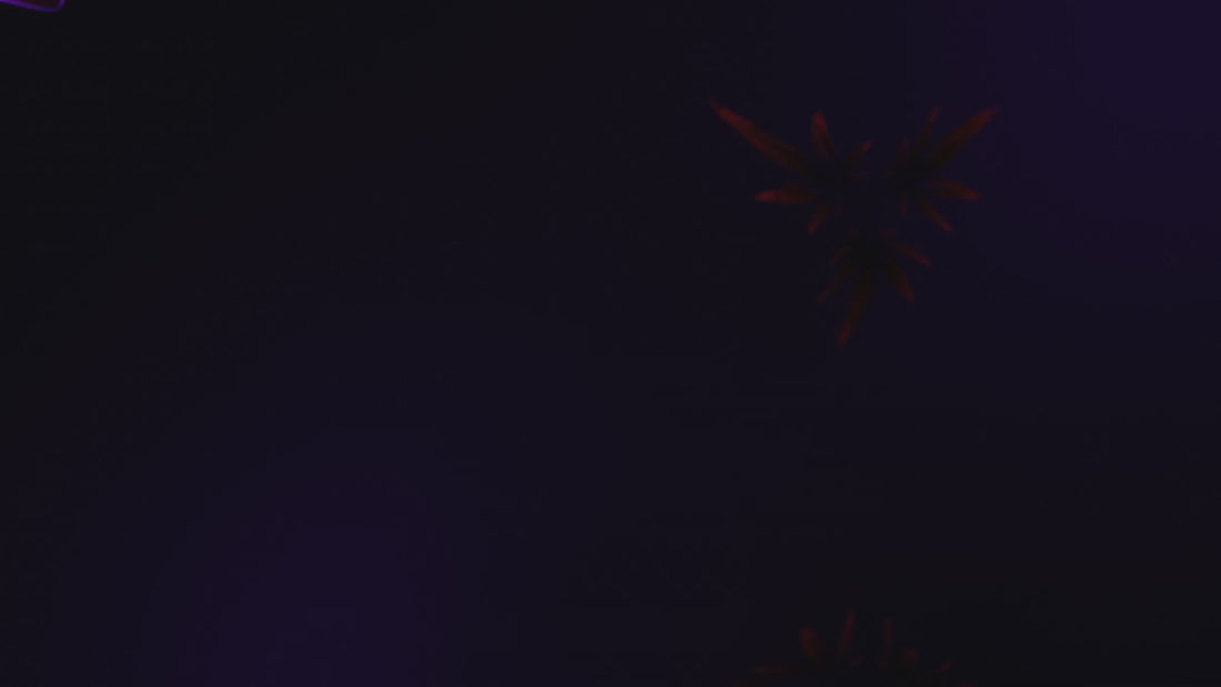 Załaduj film: Ignite theme